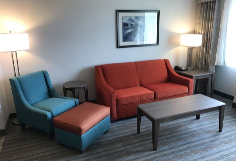 סוויטה מותאמת לאדם עם מוגבלויות, Holiday Inn & Suites Denver Tech Center Centennial, An Ihg