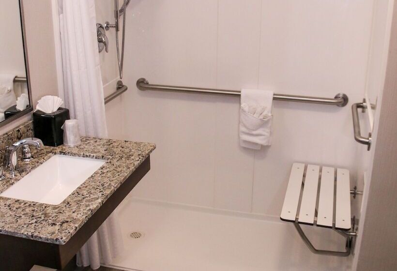 סוויטה מותאמת לאדם עם מוגבלויות, Holiday Inn & Suites Denver Tech Center Centennial, An Ihg