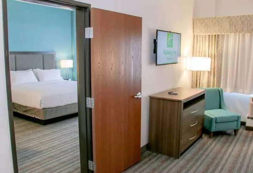 身障者適用スイートルーム, Holiday Inn & Suites Denver Tech Center Centennial, An Ihg