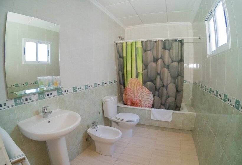 Номер Стандарт Индивидуальный, Hostal Meseguer