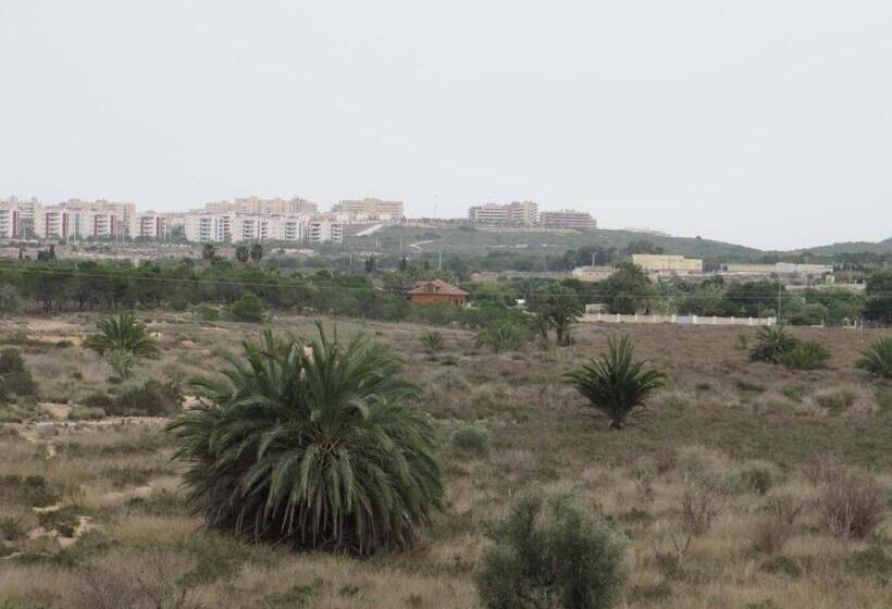 도시 전망 클래식 룸, Hostal Meseguer