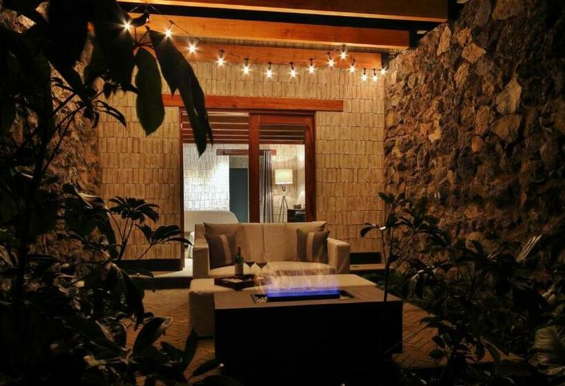 プレミアムルーム, Amomoxtli