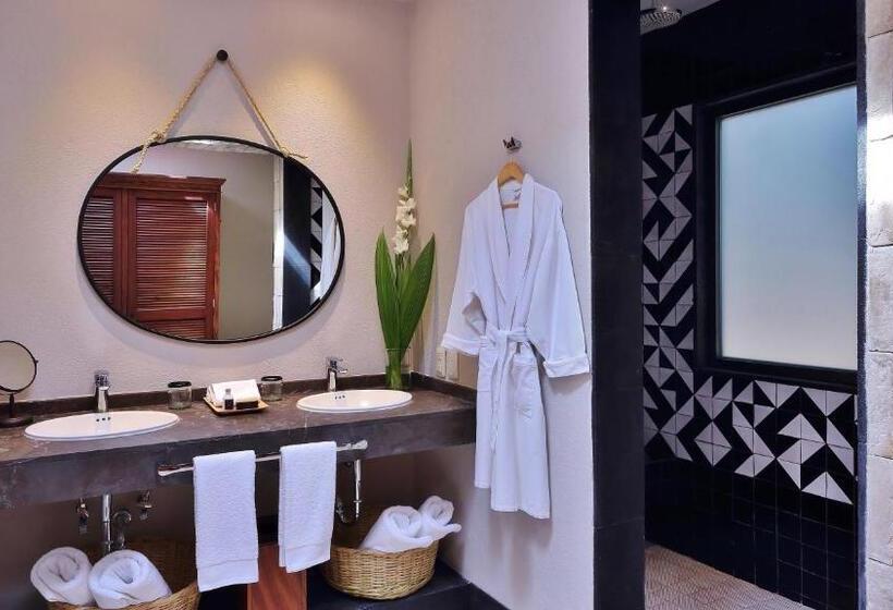 スタンダードインサイドビュールーム, Amomoxtli