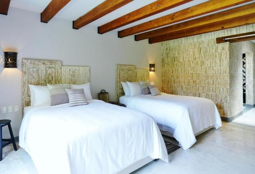 スタンダードインサイドビュールーム, Amomoxtli