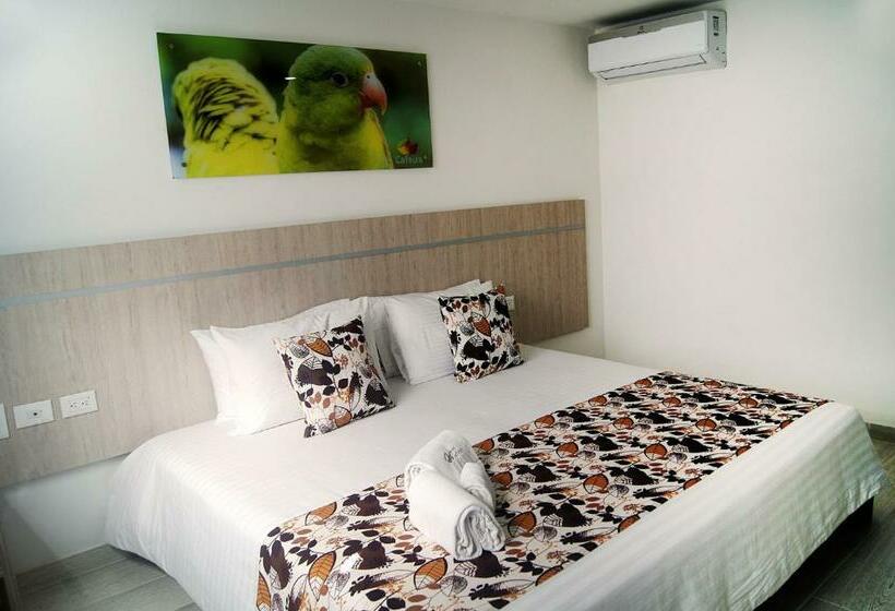 스탠다드 룸, Cafeira