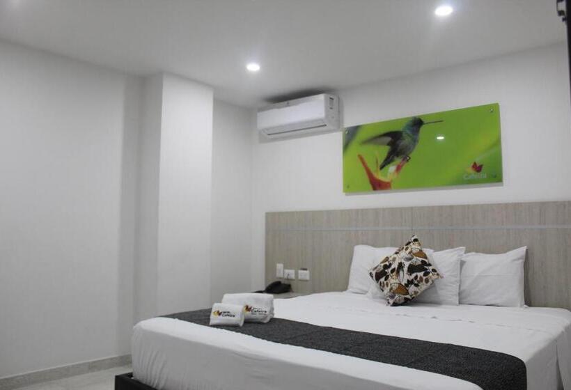 스탠다드 싱글 룸, Cafeira