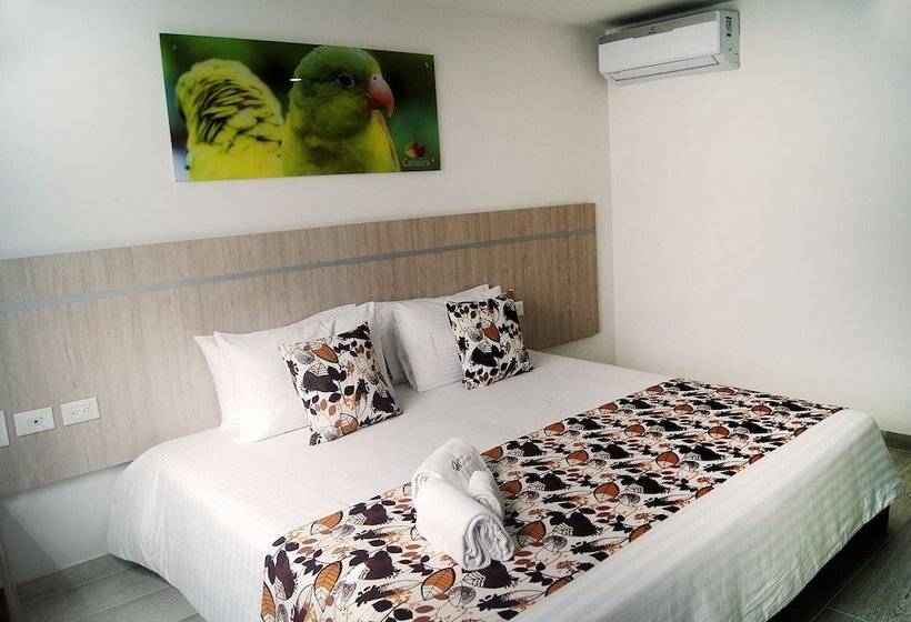 스탠다드 룸, Cafeira