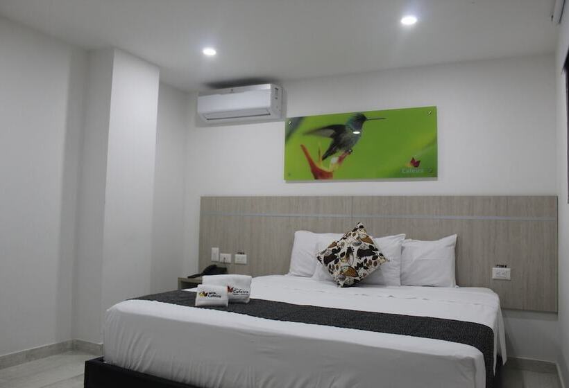 스탠다드 룸, Cafeira