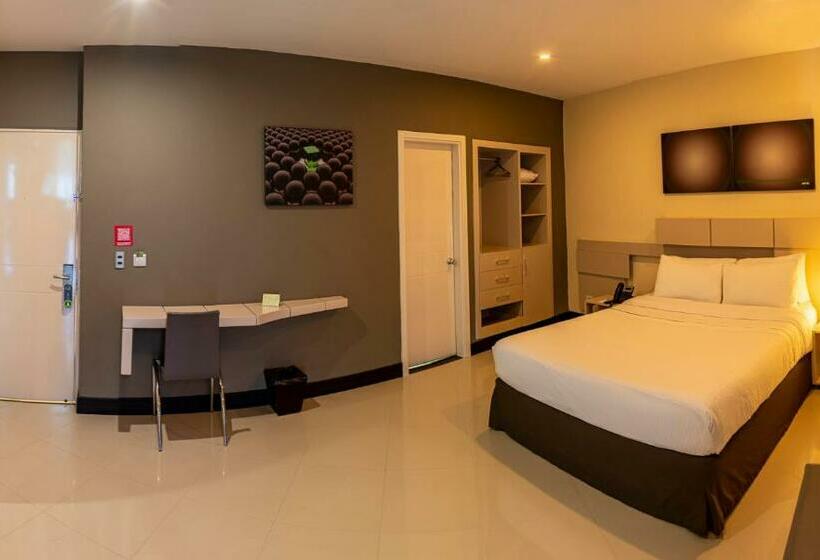 스탠다드 룸, Florida Sinu