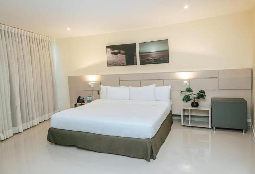 스위트, Florida Sinu