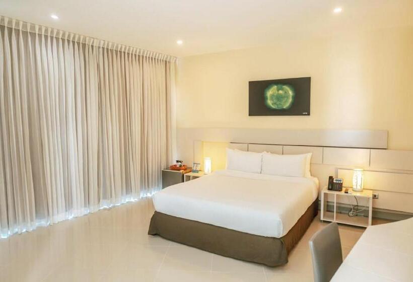 스탠다드 룸 풀장 전망, Florida Sinu