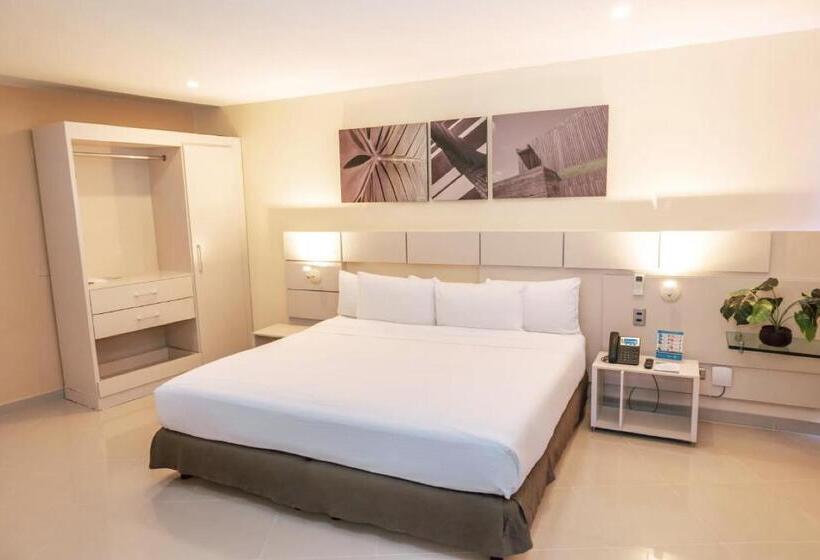 주니어 스위트, Florida Sinu