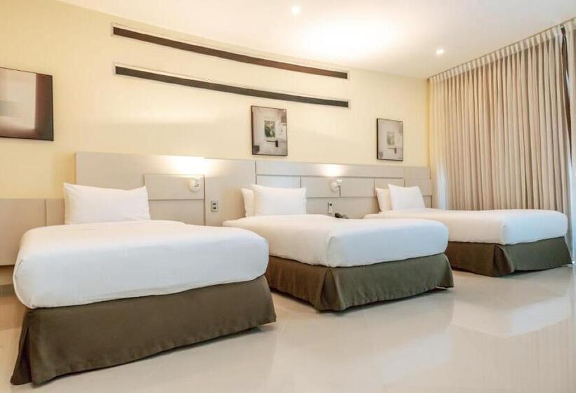 스탠다드 트리플 룸, Florida Sinu