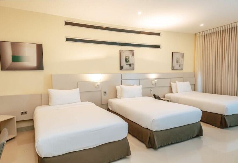 스탠다드 트리플 룸, Florida Sinu