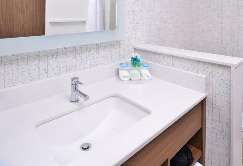 غرفة قياسية سرير كينج, Holiday Inn Express & Suites Omaha Airport, An Ihg