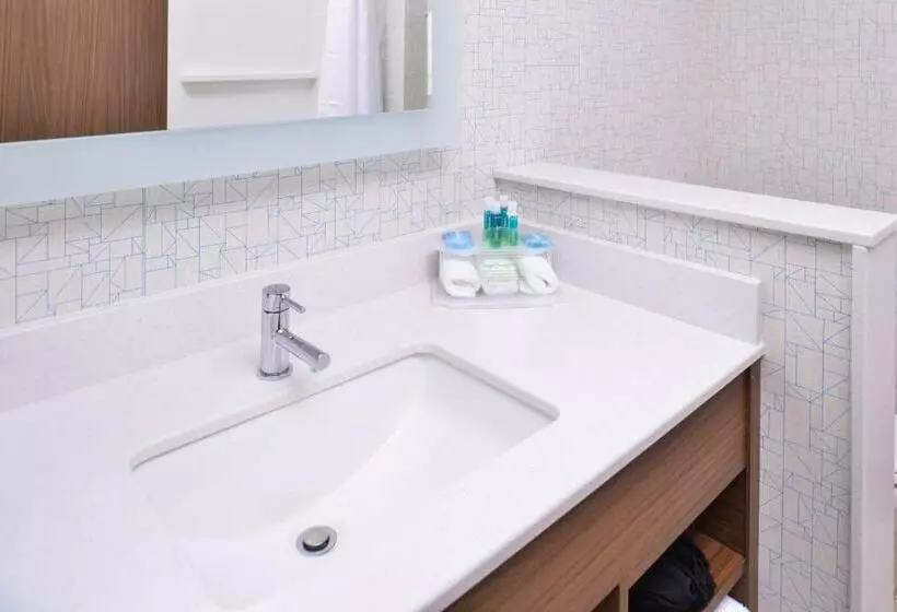 キングサイズベッドのスタンダードルーム, Holiday Inn Express & Suites Omaha Airport, An Ihg