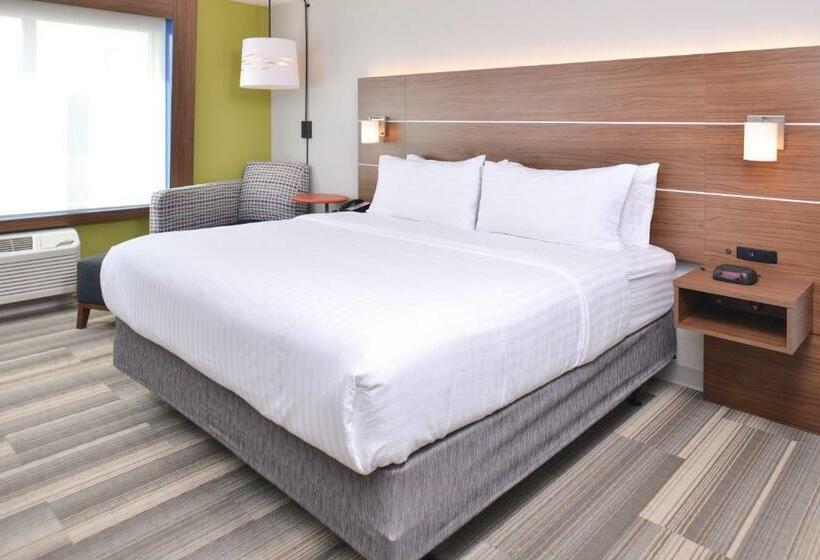 غرفة قياسية سرير كينج لذوى الإحتياجات الخاصة, Holiday Inn Express & Suites Omaha Airport, An Ihg