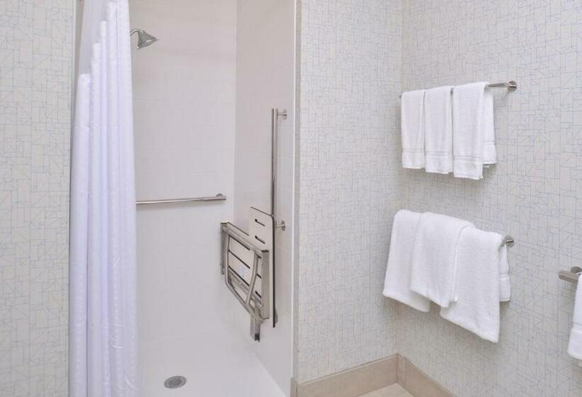 غرفة قياسية سرير كينج لذوى الإحتياجات الخاصة, Holiday Inn Express & Suites Omaha Airport, An Ihg