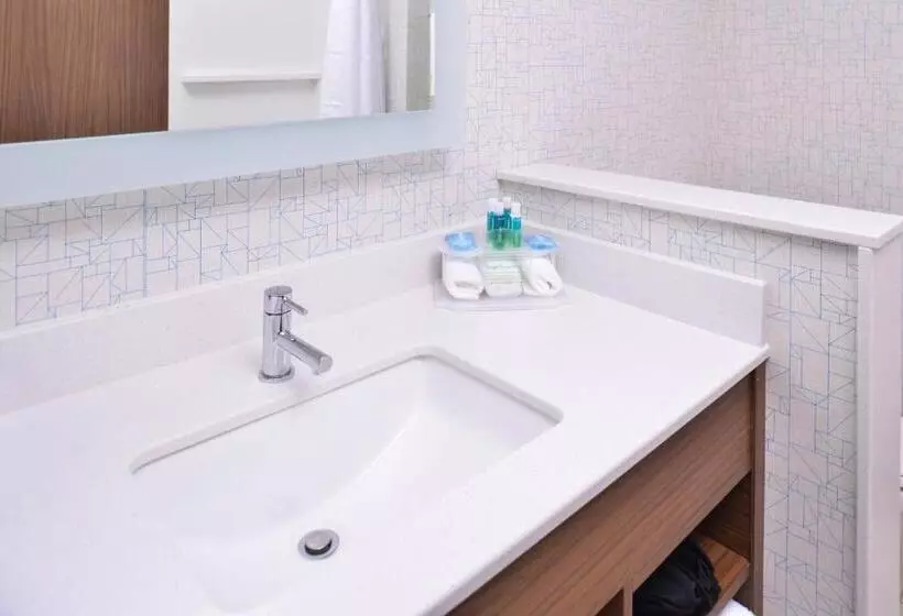 身障者適用スタンダードルーム, Holiday Inn Express & Suites Omaha Airport, An Ihg