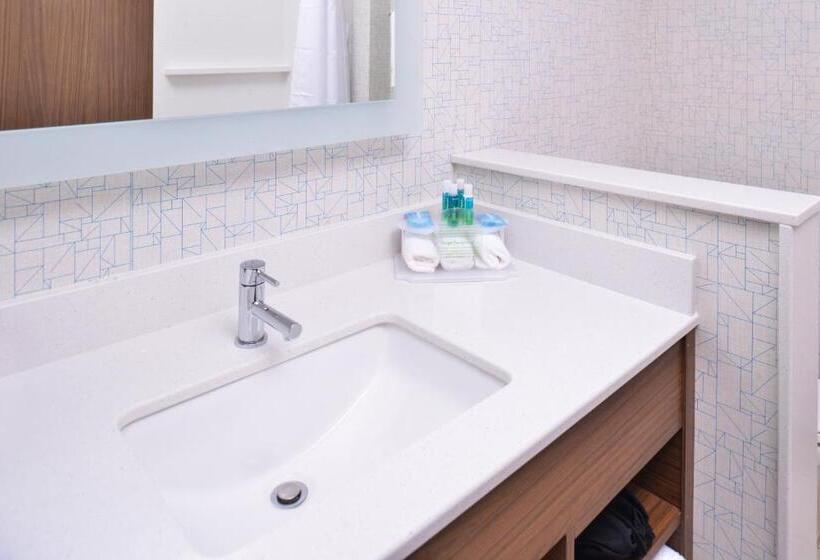 جناح, Holiday Inn Express & Suites Omaha Airport, An Ihg