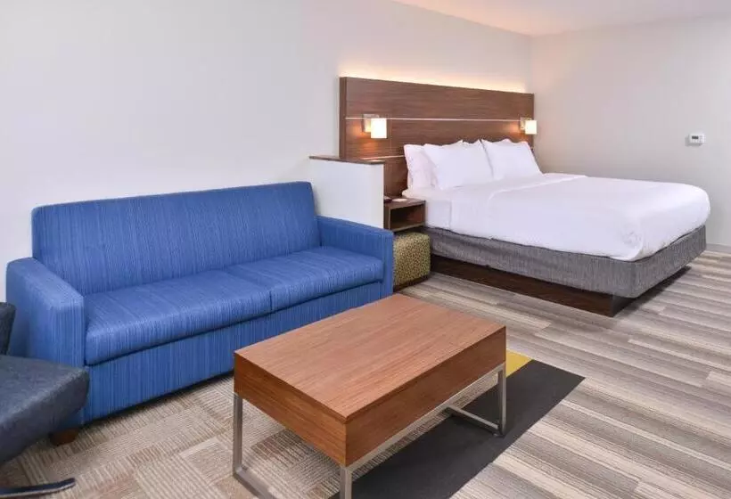 キングサイズベッドのスイートルーム, Holiday Inn Express & Suites Omaha Airport, An Ihg
