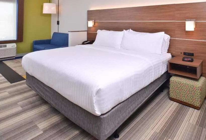 キングサイズベッドのスイートルーム, Holiday Inn Express & Suites Omaha Airport, An Ihg