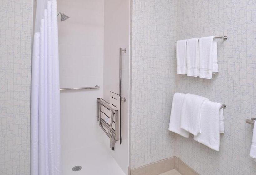 جناح لذوى الاحتياجات الخاصة, Holiday Inn Express & Suites Omaha Airport, An Ihg