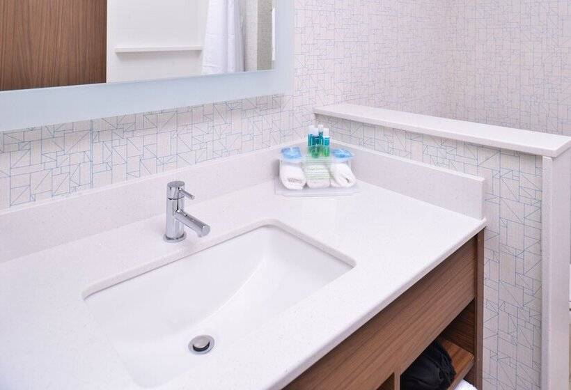 جناح لذوى الاحتياجات الخاصة, Holiday Inn Express & Suites Omaha Airport, An Ihg