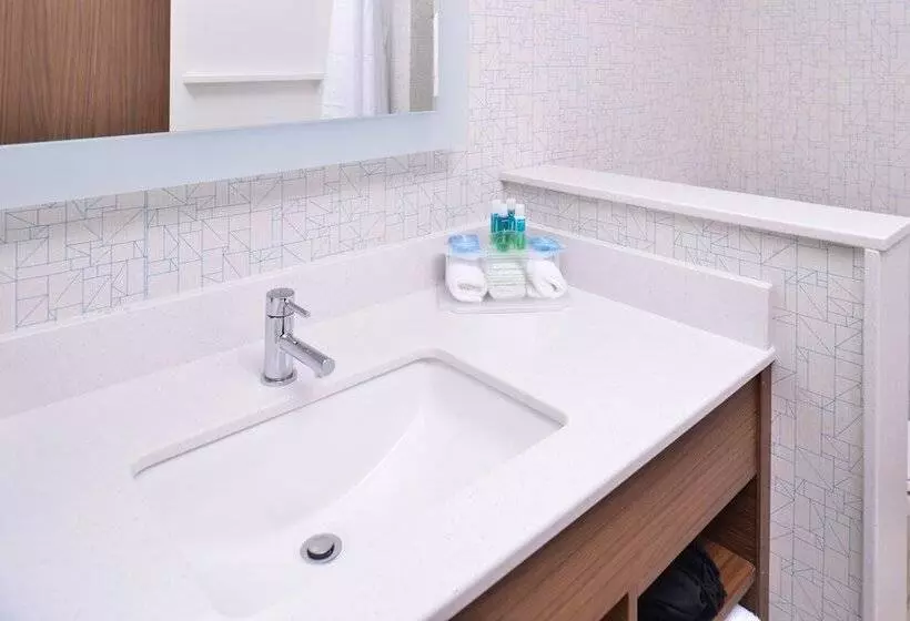 スイート, Holiday Inn Express & Suites Omaha Airport, An Ihg