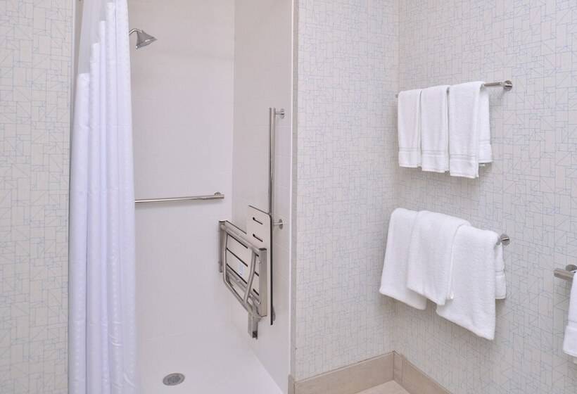 Люкс Адаптированный для Инвалидов, Holiday Inn Express & Suites Omaha Airport, An Ihg