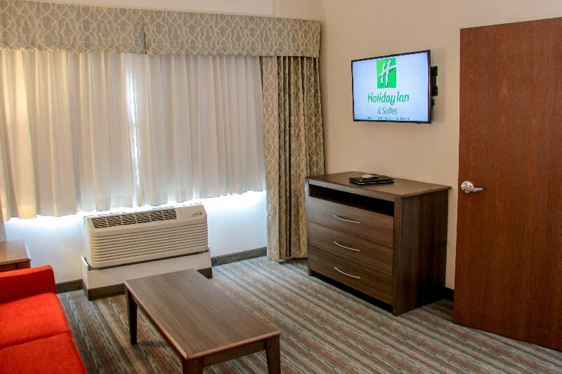 이그제큐티브 스위트, Holiday Inn & Suites Denver Tech Center Centennial, An Ihg