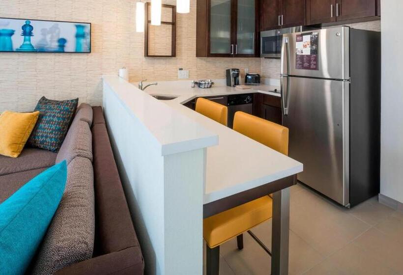 إستوديو قياسى سرير كينج, Residence Inn By Marriott Fishkill