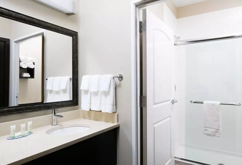 ２ベッドスイートルーム, Staybridge Suites Des Moines Downtown, An Ihg