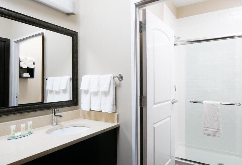 带2个卧室的套房, Staybridge Suites Des Moines Downtown, An Ihg
