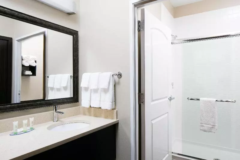 クイーンベッドのスタンダードスタジオ, Staybridge Suites Des Moines Downtown, An Ihg