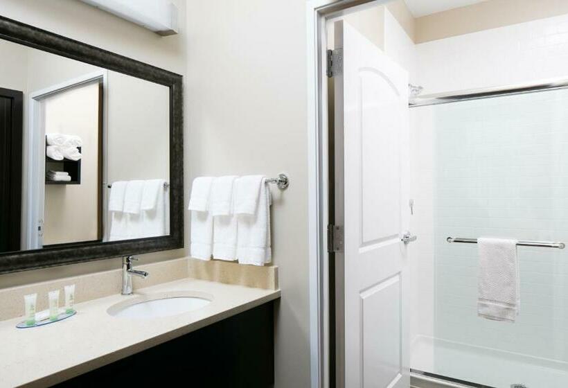 带大床的套房, Staybridge Suites Des Moines Downtown, An Ihg