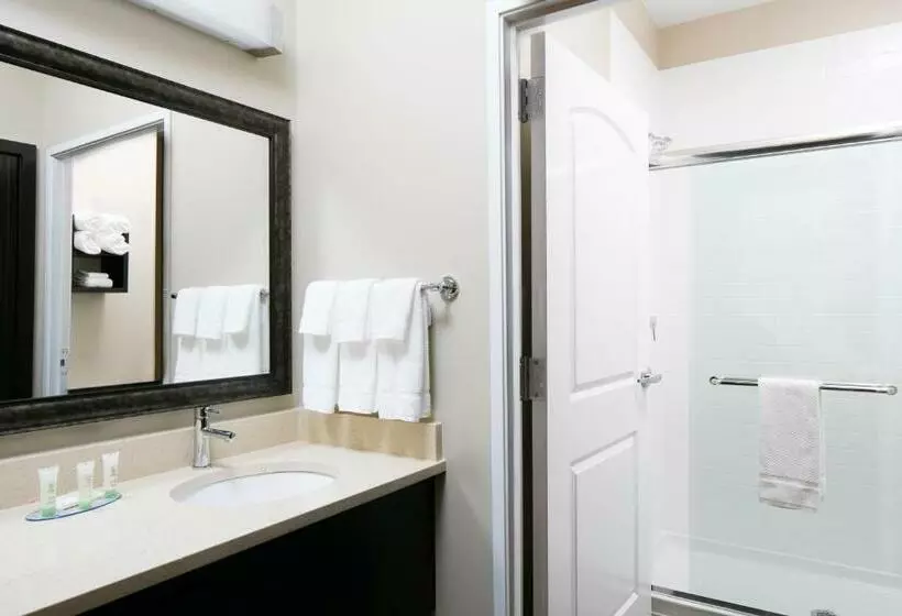 スイート, Staybridge Suites Des Moines Downtown, An Ihg