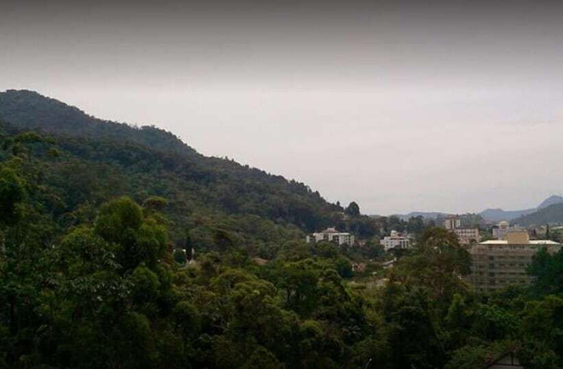 디럭스 트리플 룸, Willisau