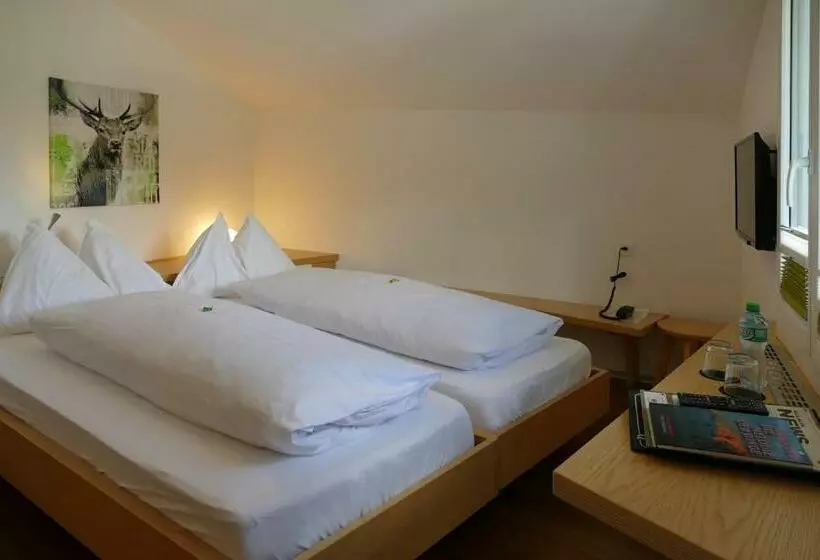 Standard-huone, Park Hotel Saas Fee