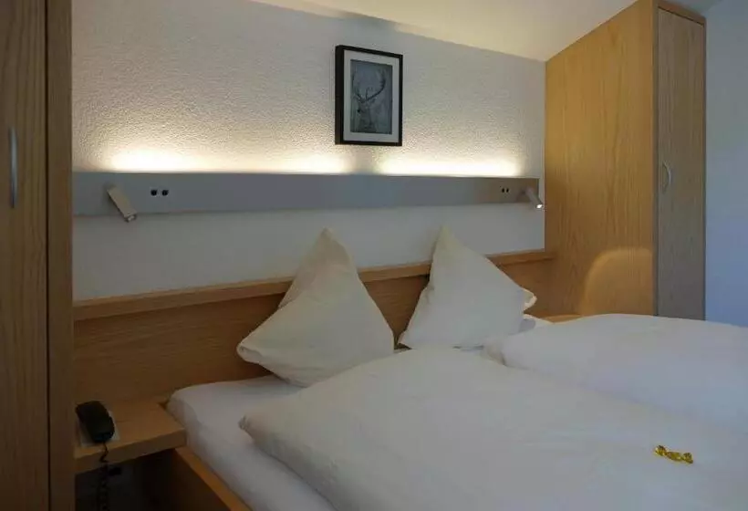 Standard Yhden Hengen Huone, Park Hotel Saas Fee