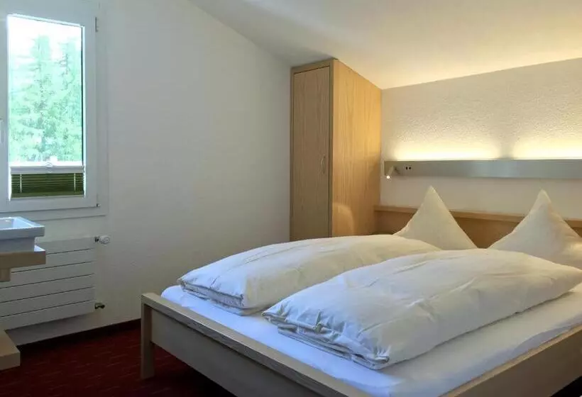 Standard Yhden Hengen Huone, Park Hotel Saas Fee