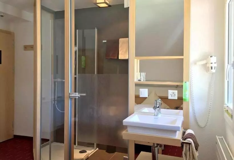Standard Yhden Hengen Huone, Park Hotel Saas Fee