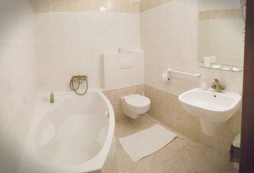 스탠다드 룸, Bojnicky Vinny Dom