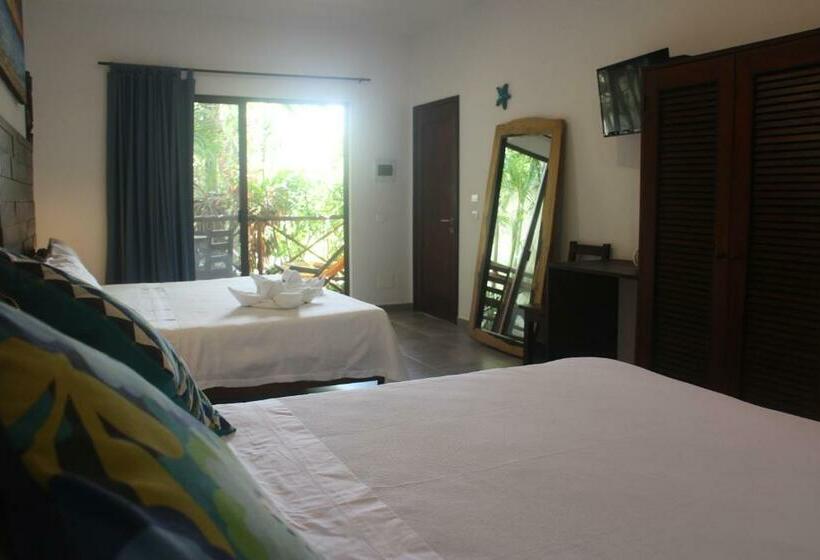 家庭间, Basic Tulum