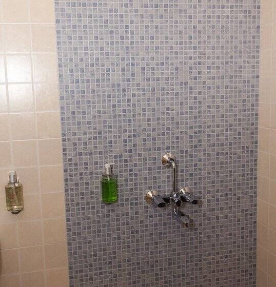 Standard Single Room, Ginger Vapi