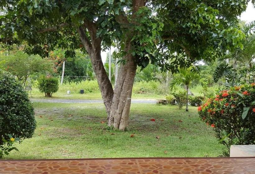 ガーデンビューのスタンダードバンガロー, Happy Resort