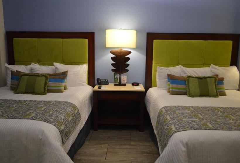 スタンダードルーム, Hblue