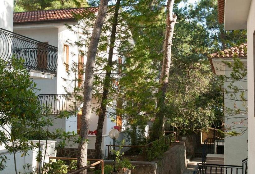 شقة غرفة واحدة, Paradiso Residence