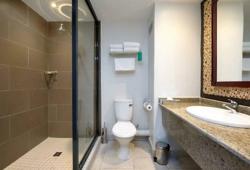 اتاق استاندارد با تخت بزرگ, Protea Hotel By Marriott Ndola