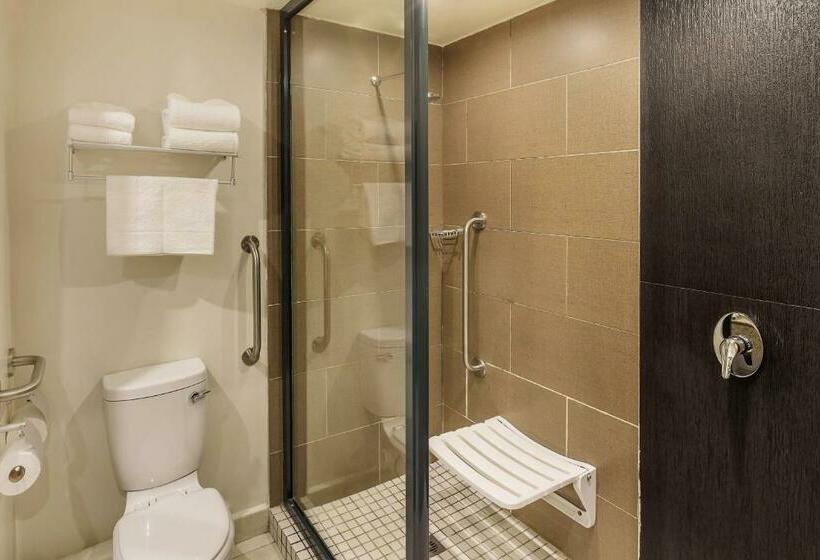 اتاق استاندارد با تخت بزرگ, Protea Hotel By Marriott Ndola